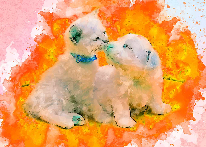 Cute animal
