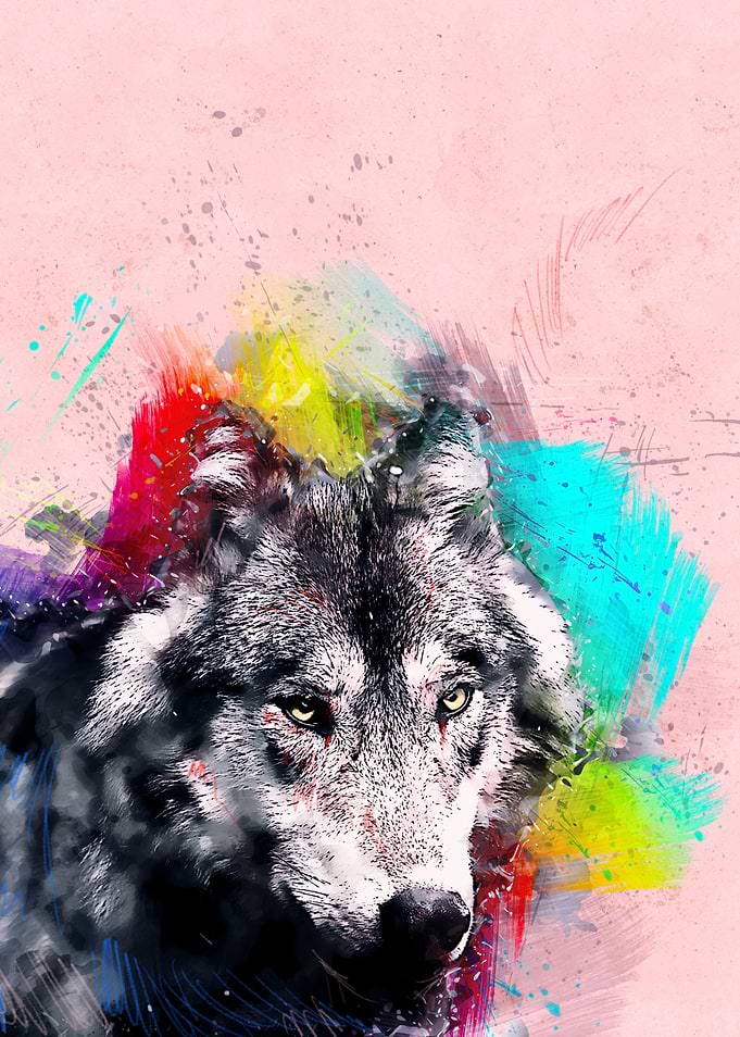Wolf 56