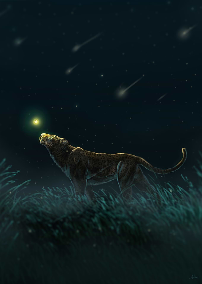 Night Lantern
