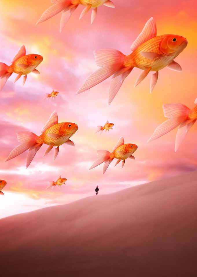Goldfish desert