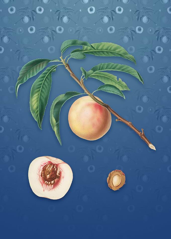 White Speckled Peach