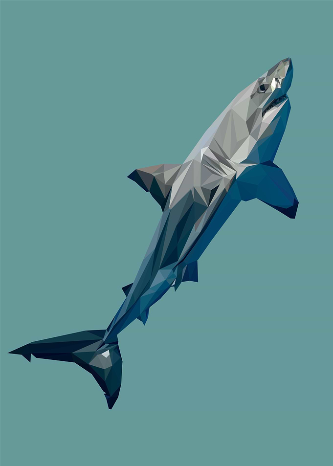 Nursery animals shark