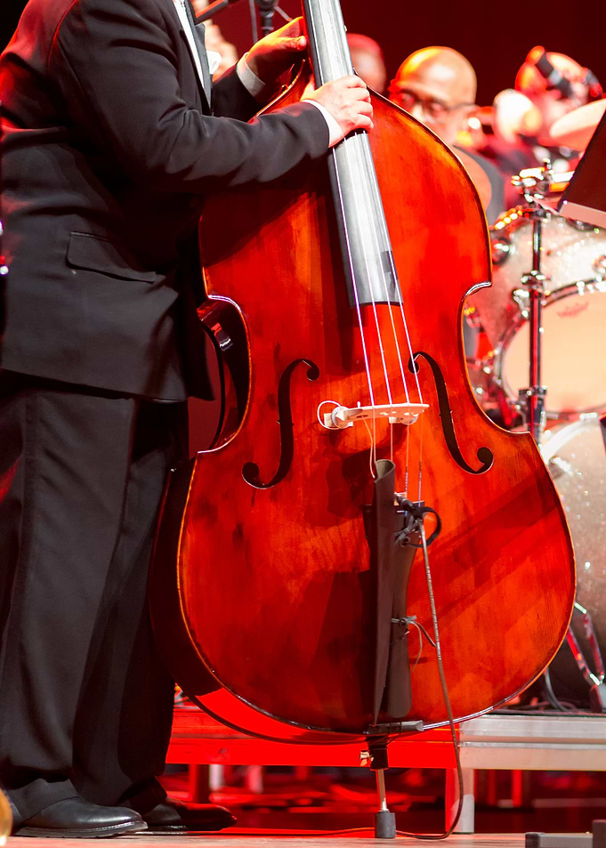 Double Bass Player