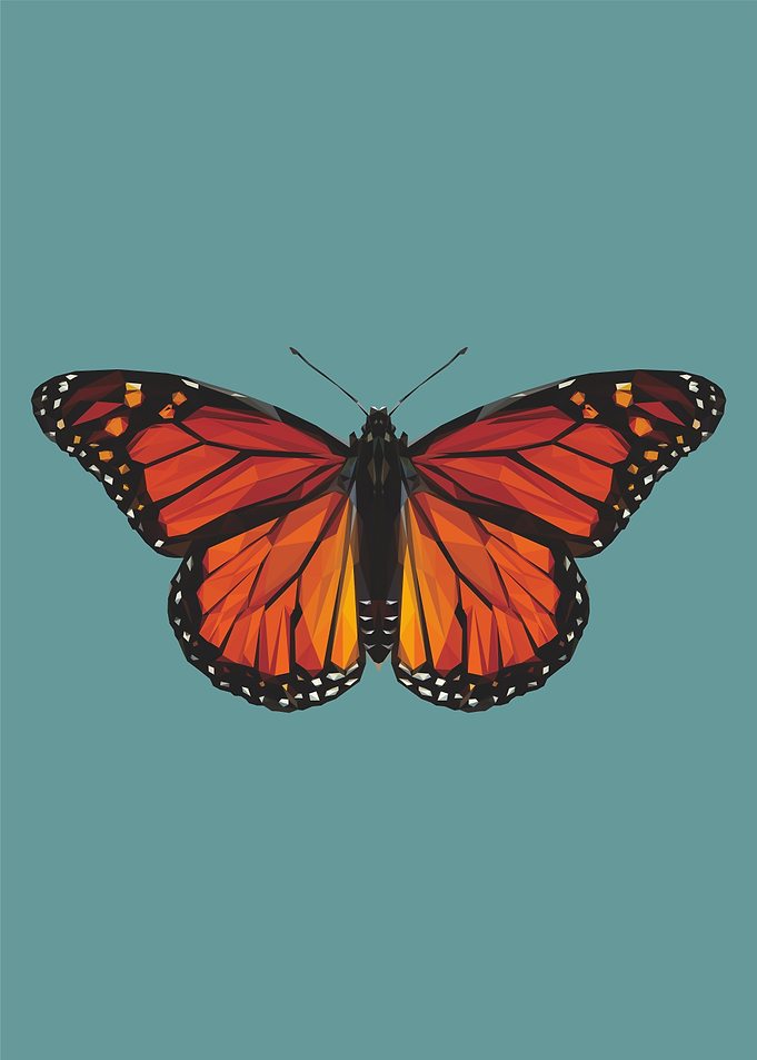 Nursery animals butterfly