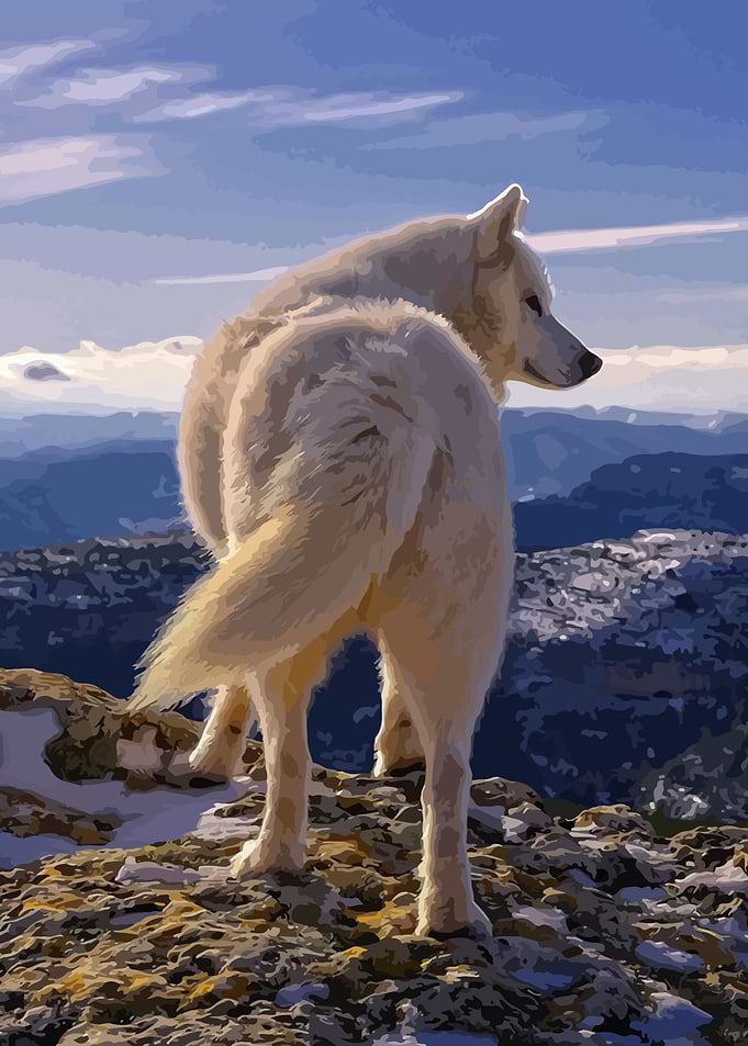 Wolf