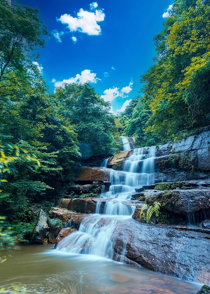 Waterfall in Forest Nature