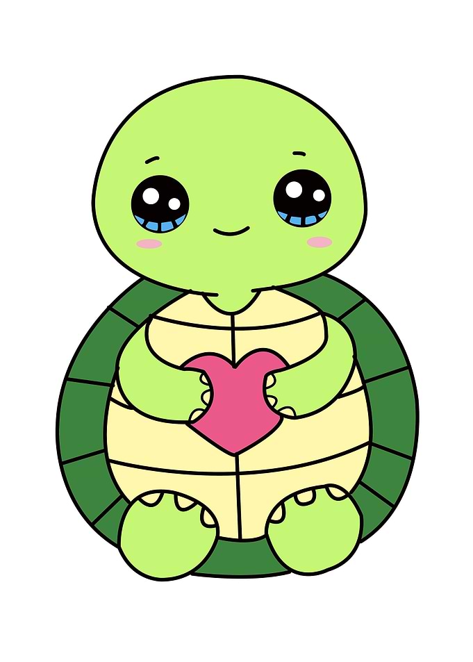 Turtle Cute Animal