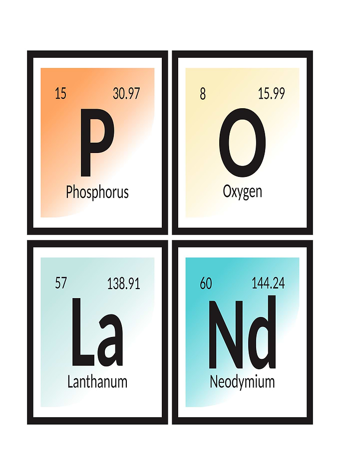 Element of Poland