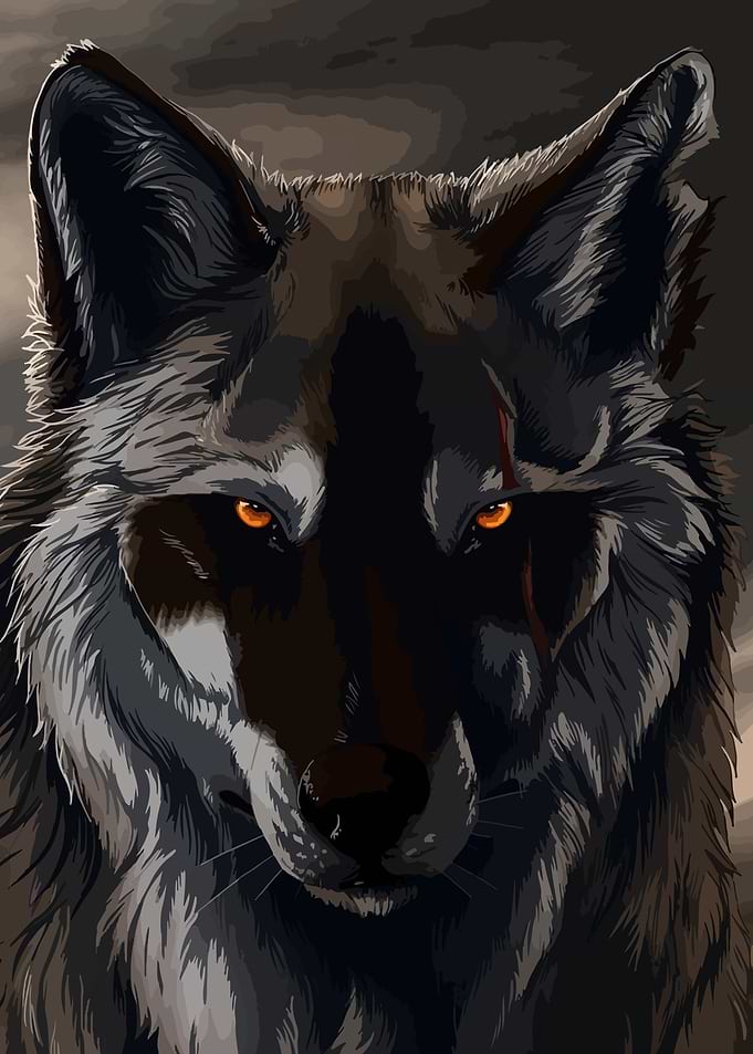 Wolf