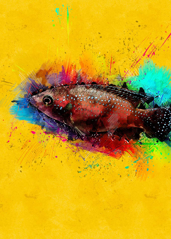 Fish 69