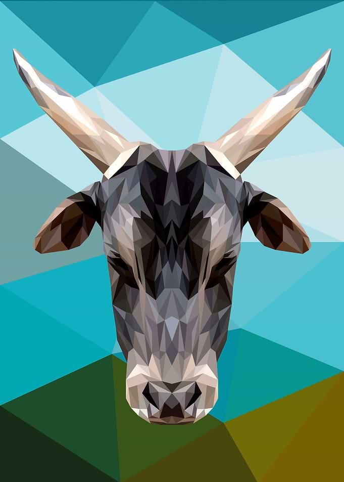 Cattle