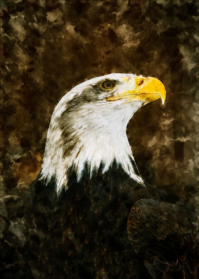 American Eagle