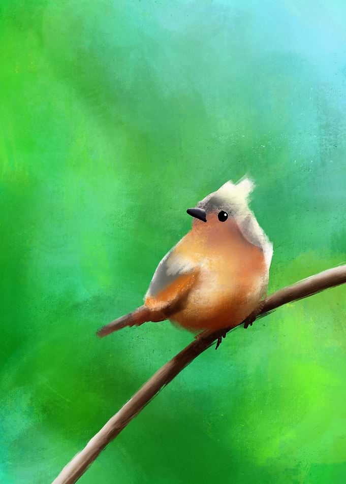 Bird on a branch