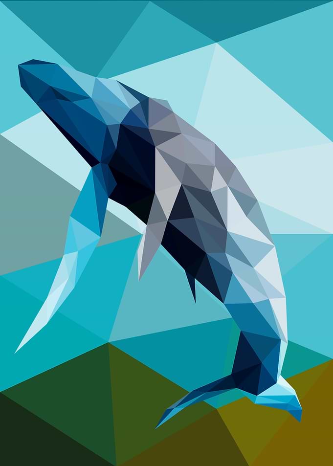Whale
