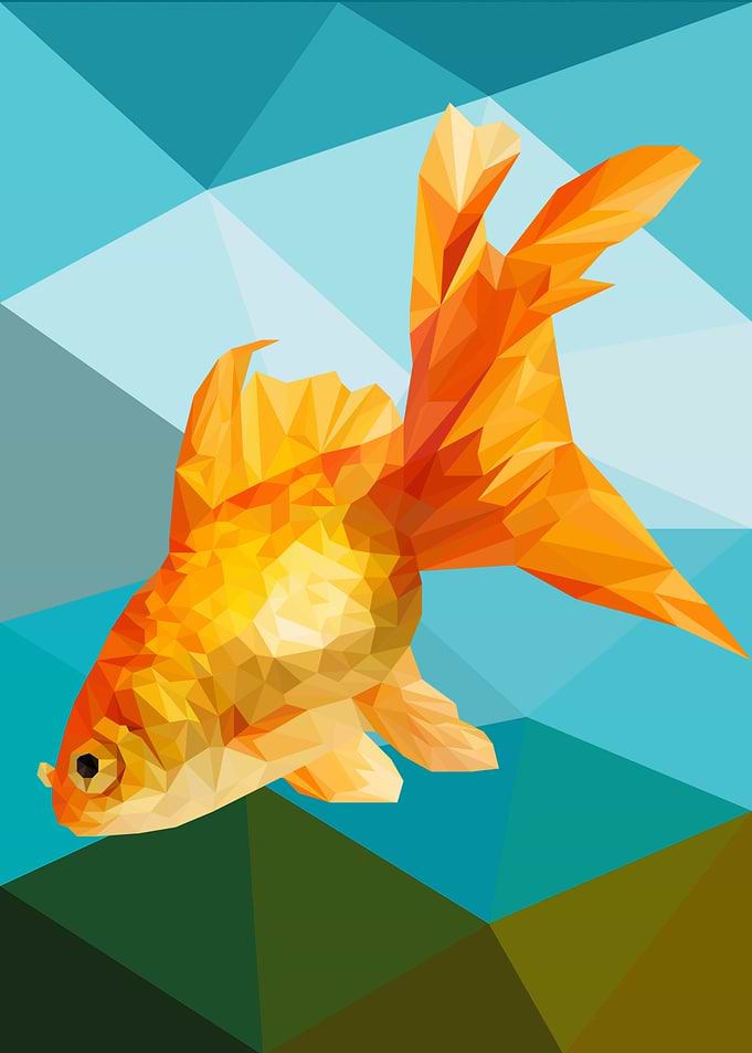 Goldfish