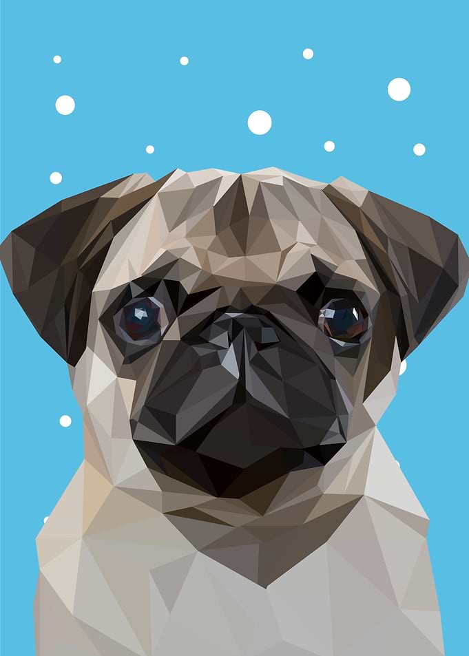 NURSERY ANIMAL DOG