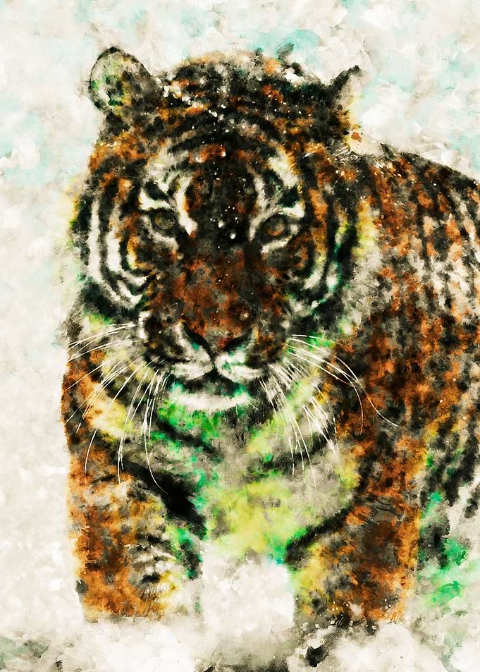 Siberian Tiger