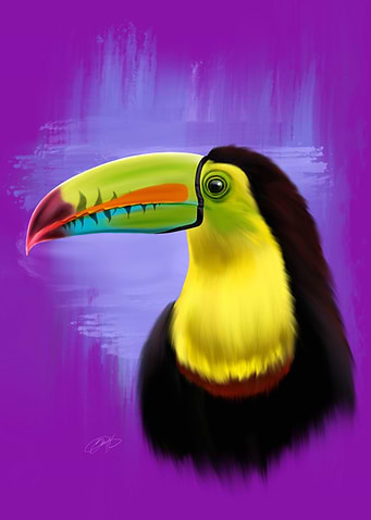 Toucan