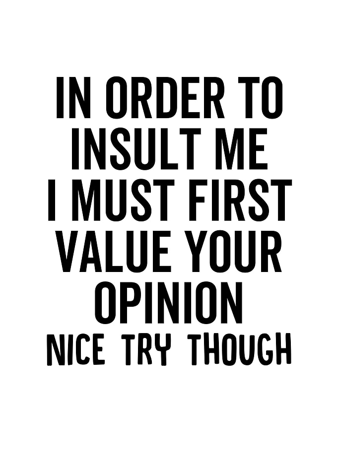 In Order To Insult Me I