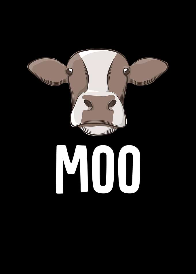 Cow Moo