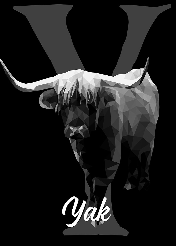 Yak