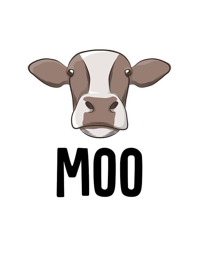 Cow Moo