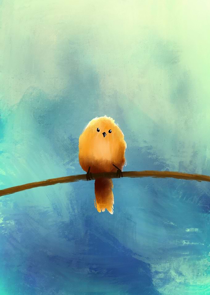 Little orange bird