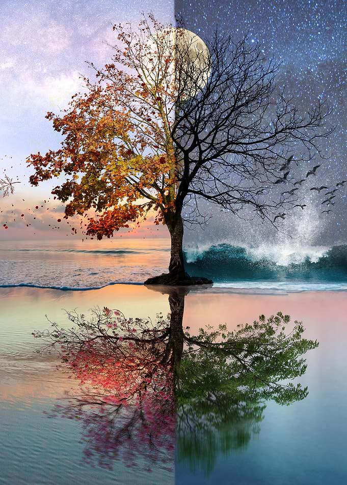 4 seasons