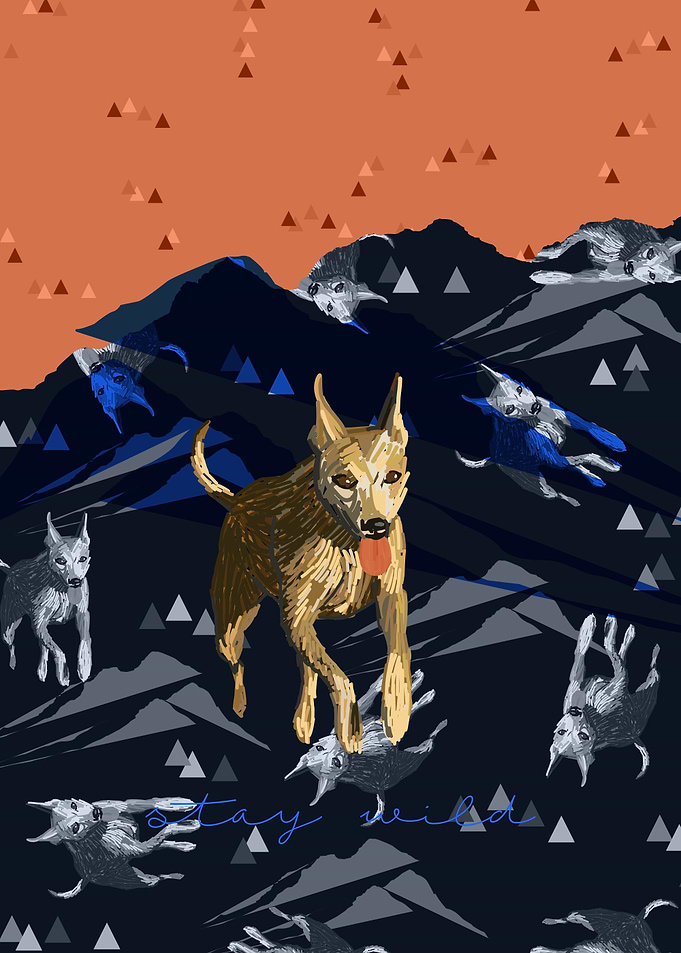 Stay Wild Mountain Runner