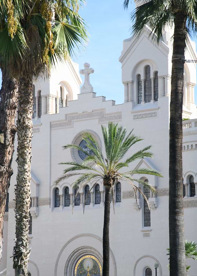 Church in Rome Palms 1