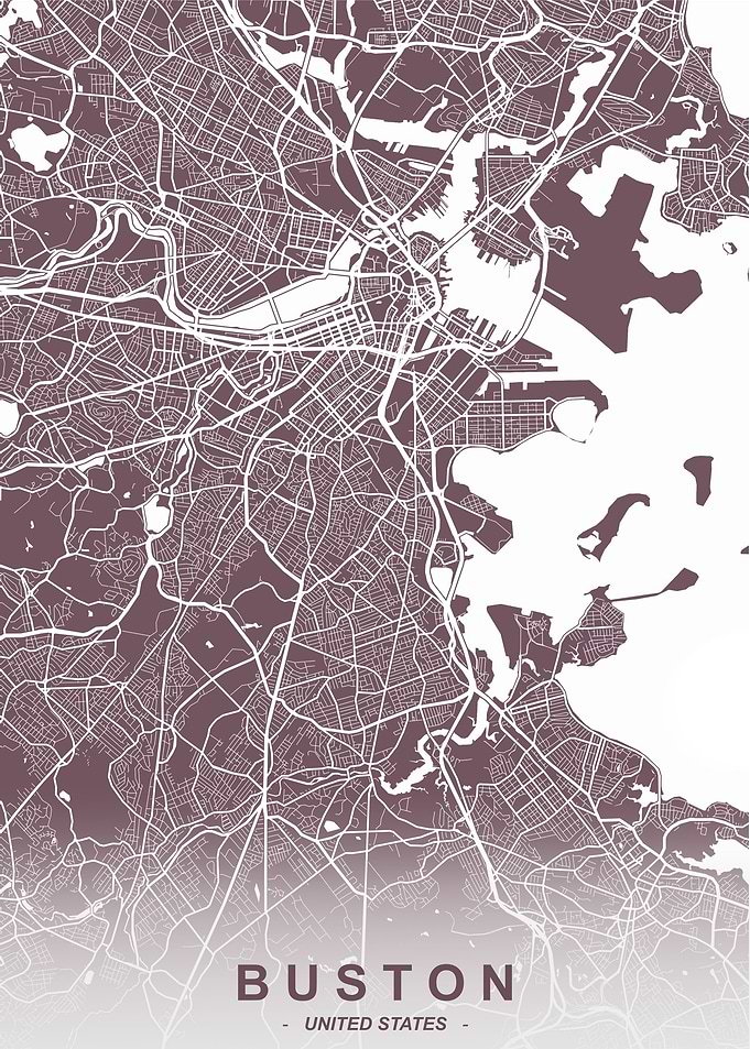 Boston City Map Orhid