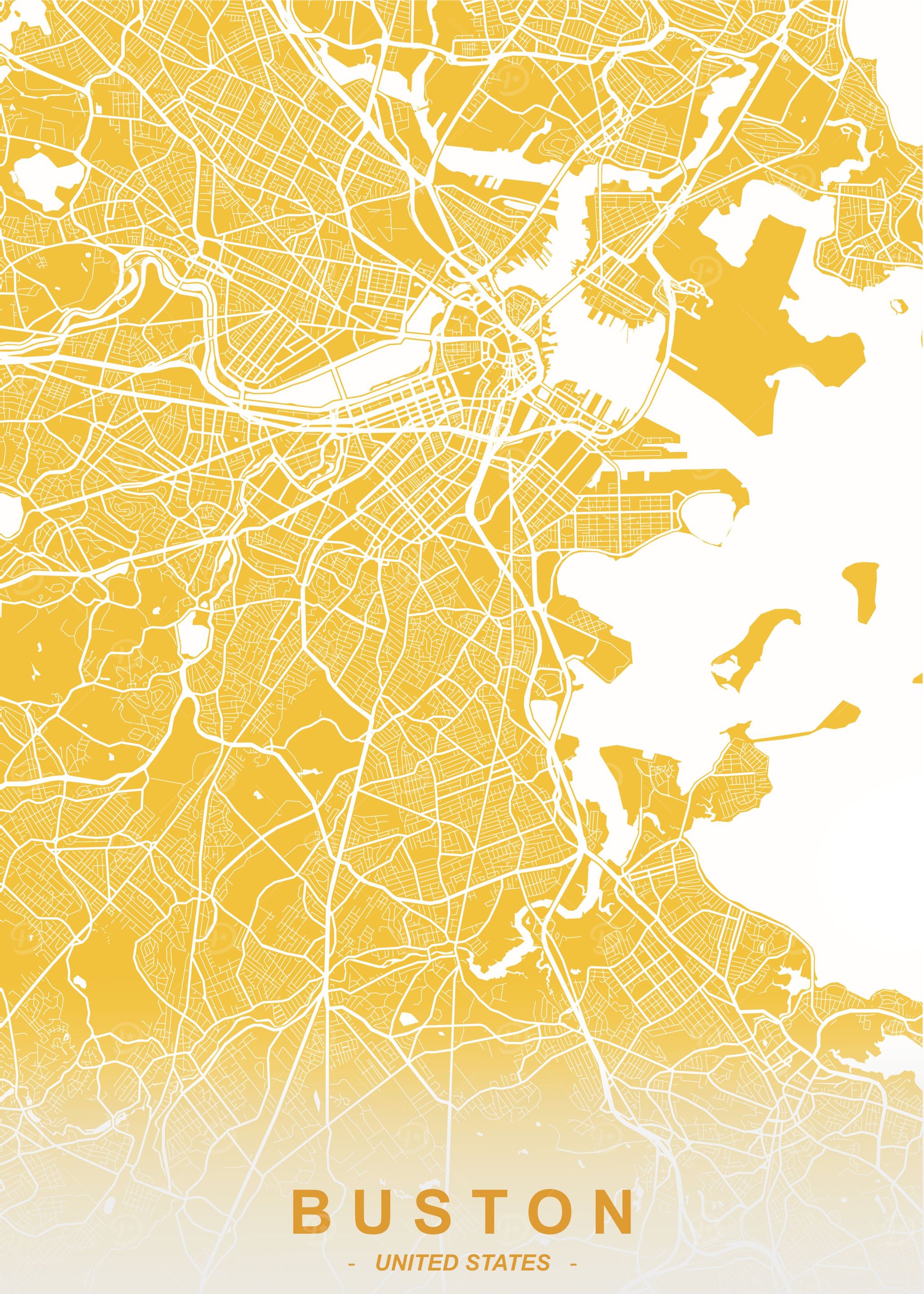 Boston City Map Mustard