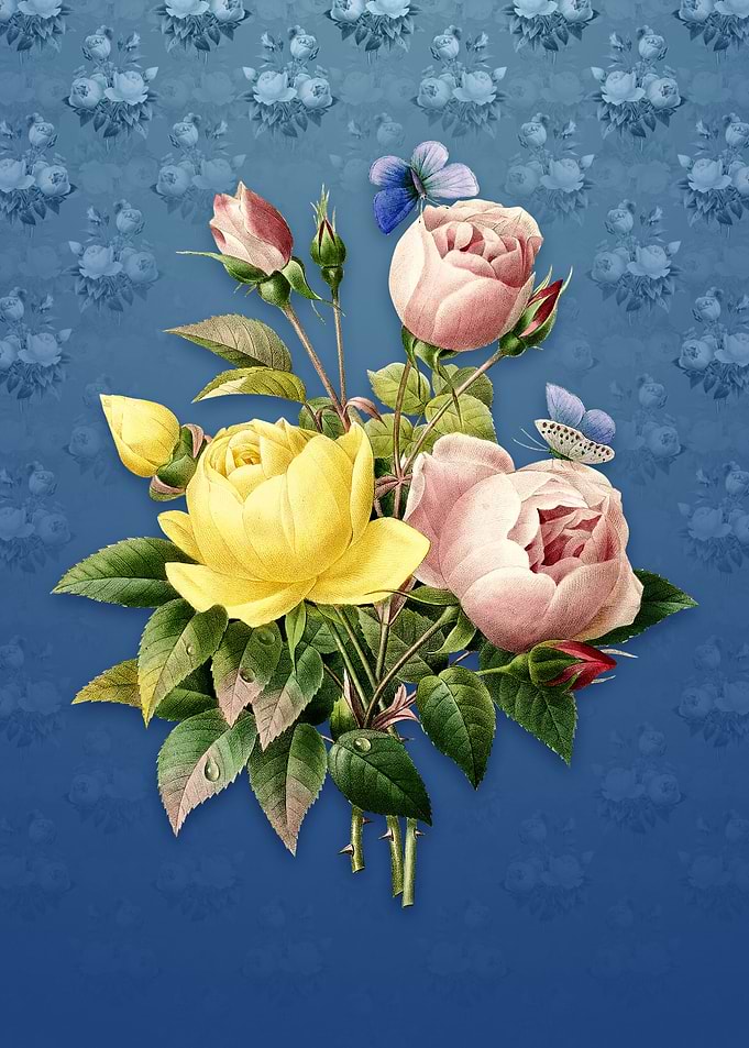 Vintage Variety of Roses