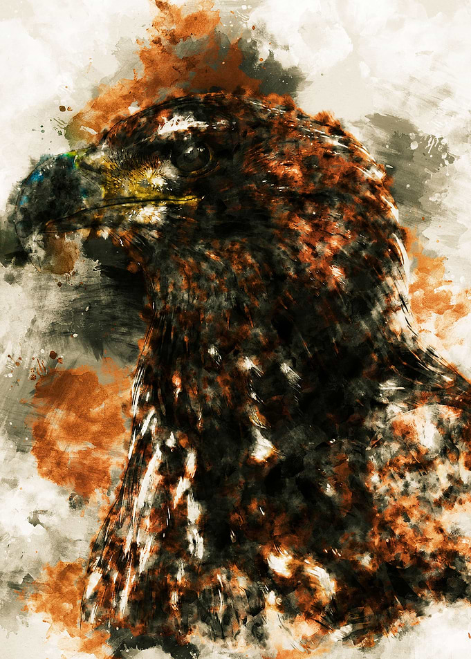 Eastern Imperial Eagles