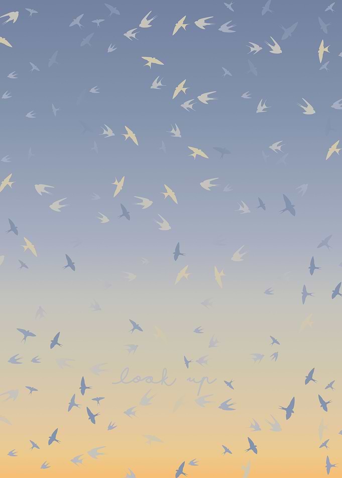 Look Up to the Skies