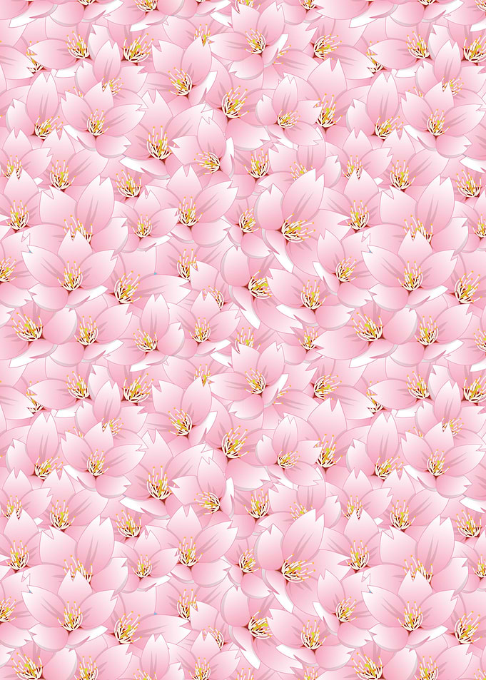 Cherry Blossom Flower 10