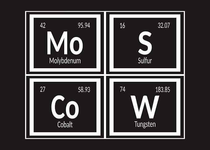 Moscow Elements