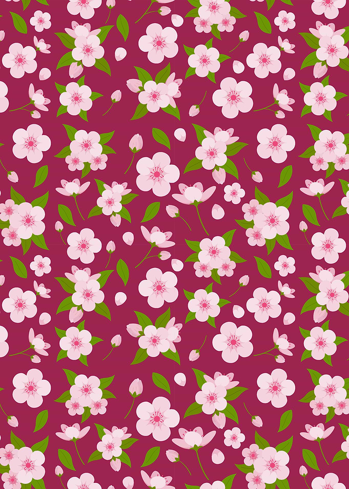 Cherry Blossom Flower 06