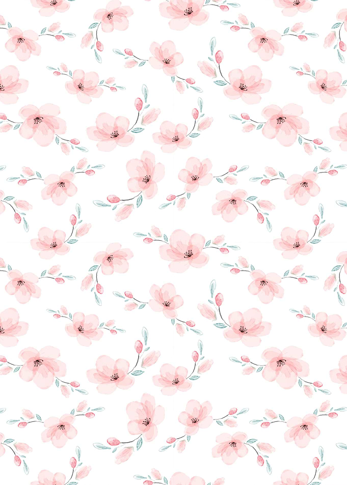Cherry Blossom Flower 05