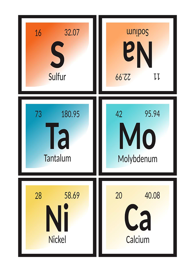 Elements of Santa Monica