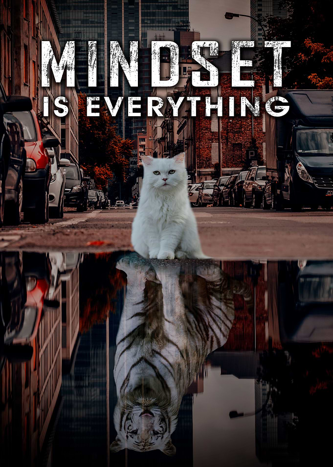 Mindset is Everything