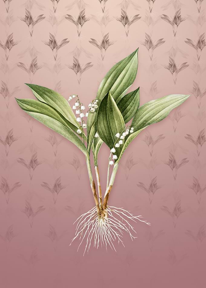 Vintage Lily of the Valley