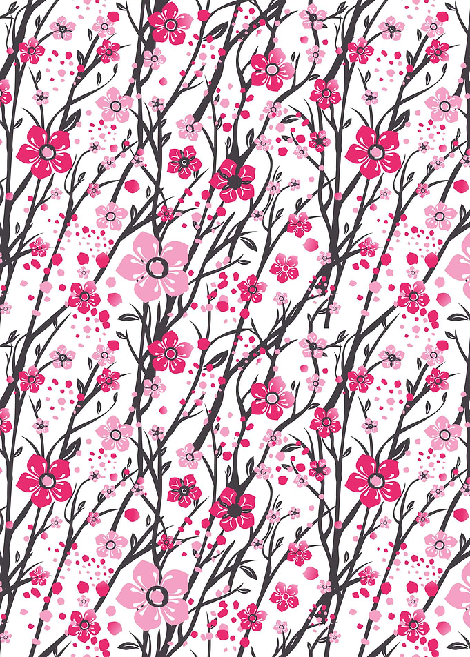 Cherry Blossom Flower 08