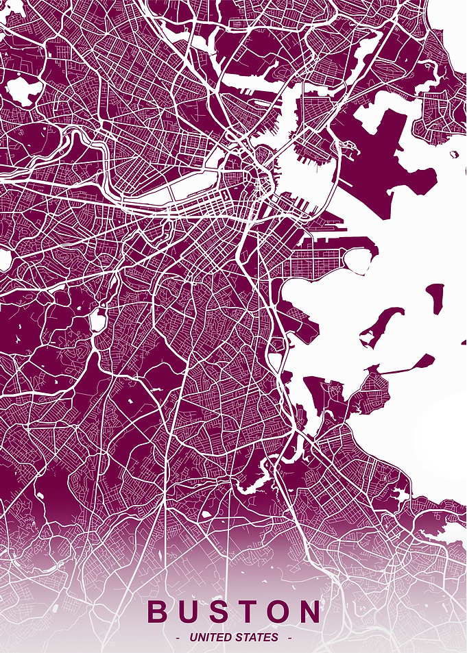 Boston City Map Plum