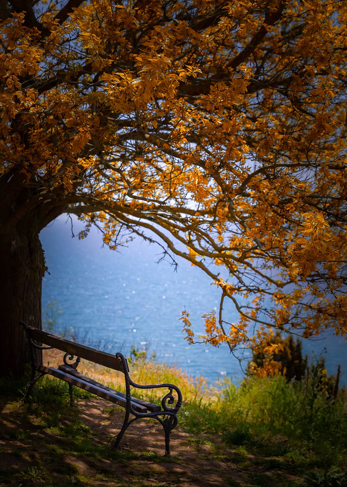 Landscape, travel,Bulgaria