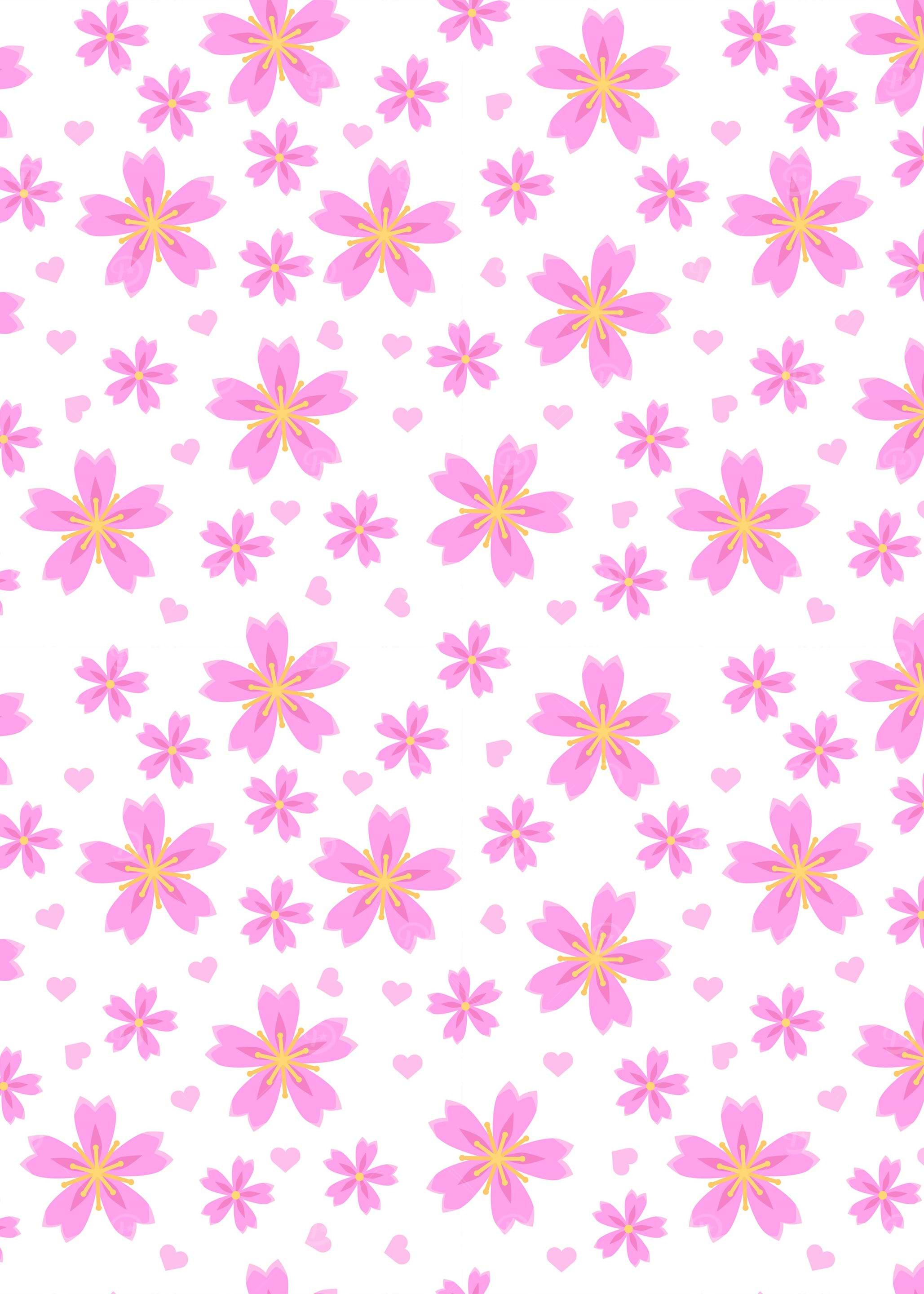Cherry Blossom Flower 09