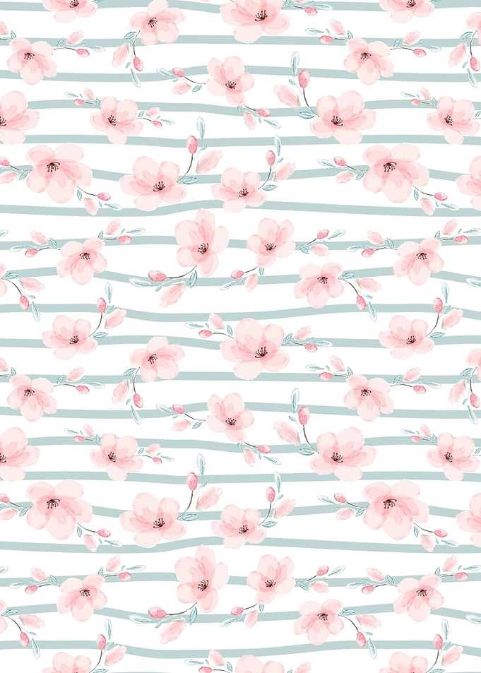 Cherry Blossom Flower 01