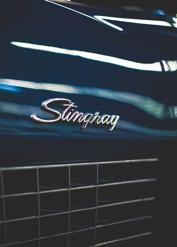 Stingray Motivation