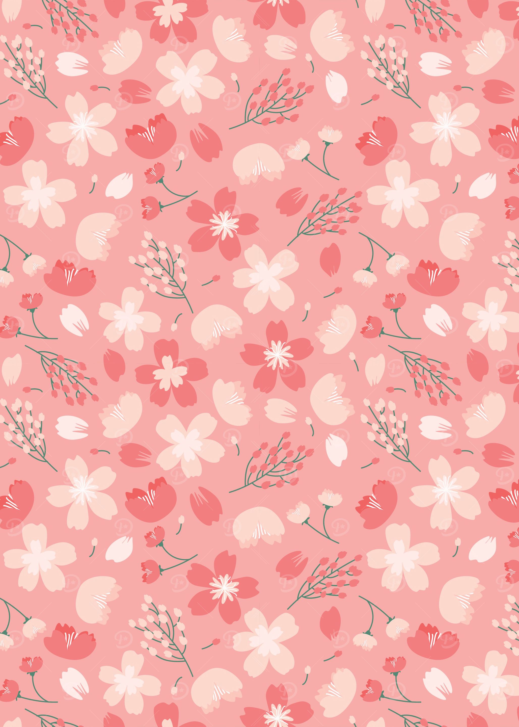 Cherry Blossom Flower 03