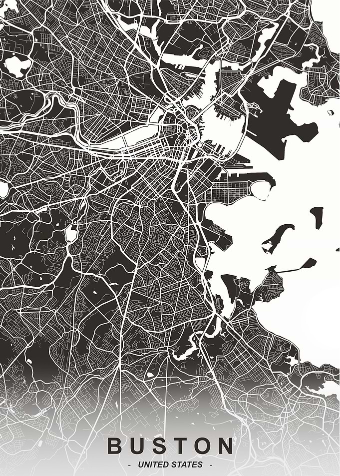 Boston City Map wolf